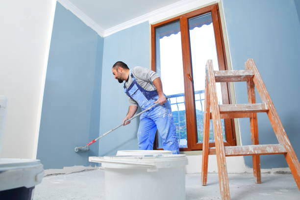 Best Drywall Sanding and Smoothing  in Eudora, KS